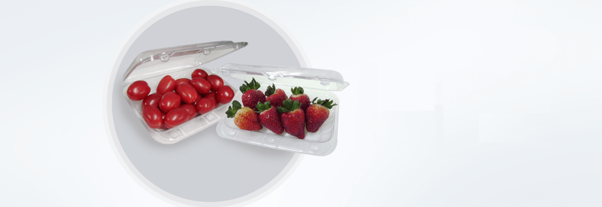 bandeja-de-plastico-serraplast-banner1