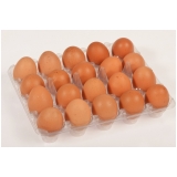 Bandeja em Plastico de Ovo Bandeja em Plastico de Ovo