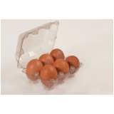 Bandeja Plastica para Ovos Bandeja Plastica para Ovos