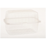 embalagem plastica para kiwi transparente João Pessoa