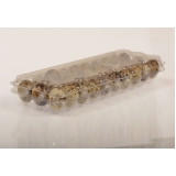 Embalagem de Ovo de Codorna Atacado Embalagem de Ovo de Codorna Atacado