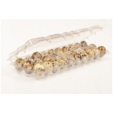 Embalagem de Ovo de Codorna Plastica Embalagem de Ovo de Codorna Plastica