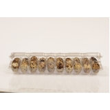 Embalagem Plastica de Ovo de Codorna Embalagem Plastica de Ovo de Codorna