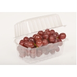 fábrica de embalagem para frutas com tampa Adrianópolis